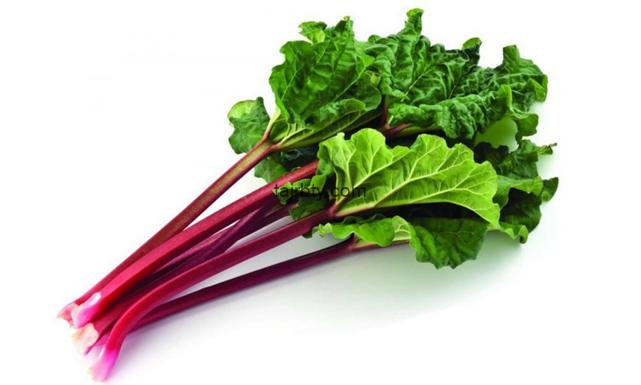 تجربتي مع الراوند