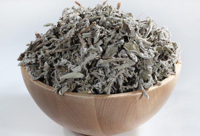 تجربتي مع المرامية للشعر الابيض