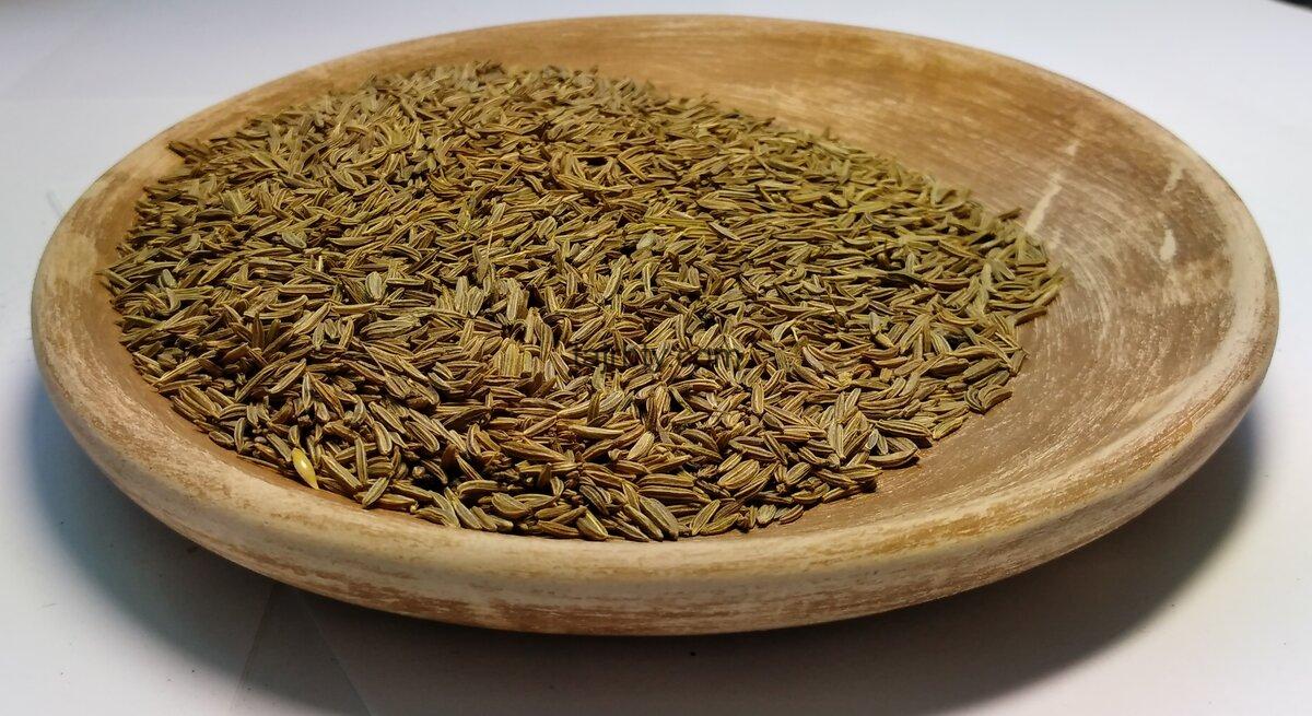 تجربتي مع عشبة الترياق وماهي فوائده وكيفية فك السحر نهائياً