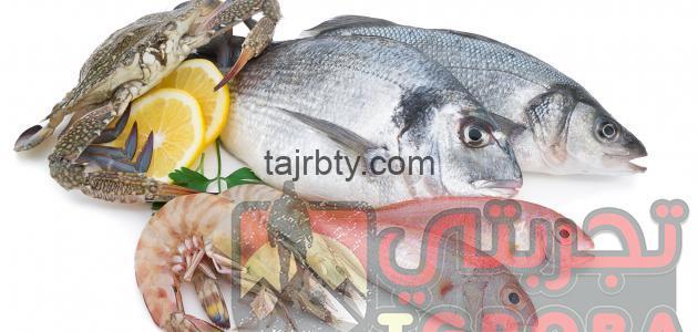 ما هو تفسير حلم السمك في المنام كامل