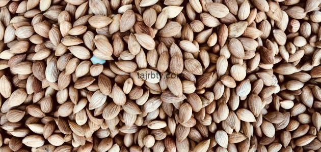 تجربتي مع المحلب للدوره